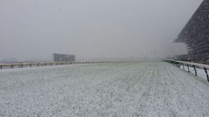 東京競馬場　雪